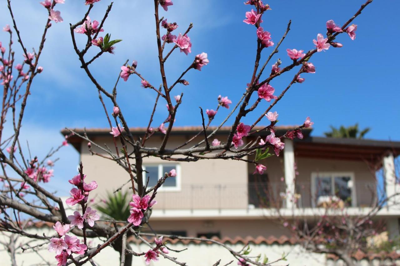Residenza Anna Calabria Bed & Breakfast Briatico Exterior foto